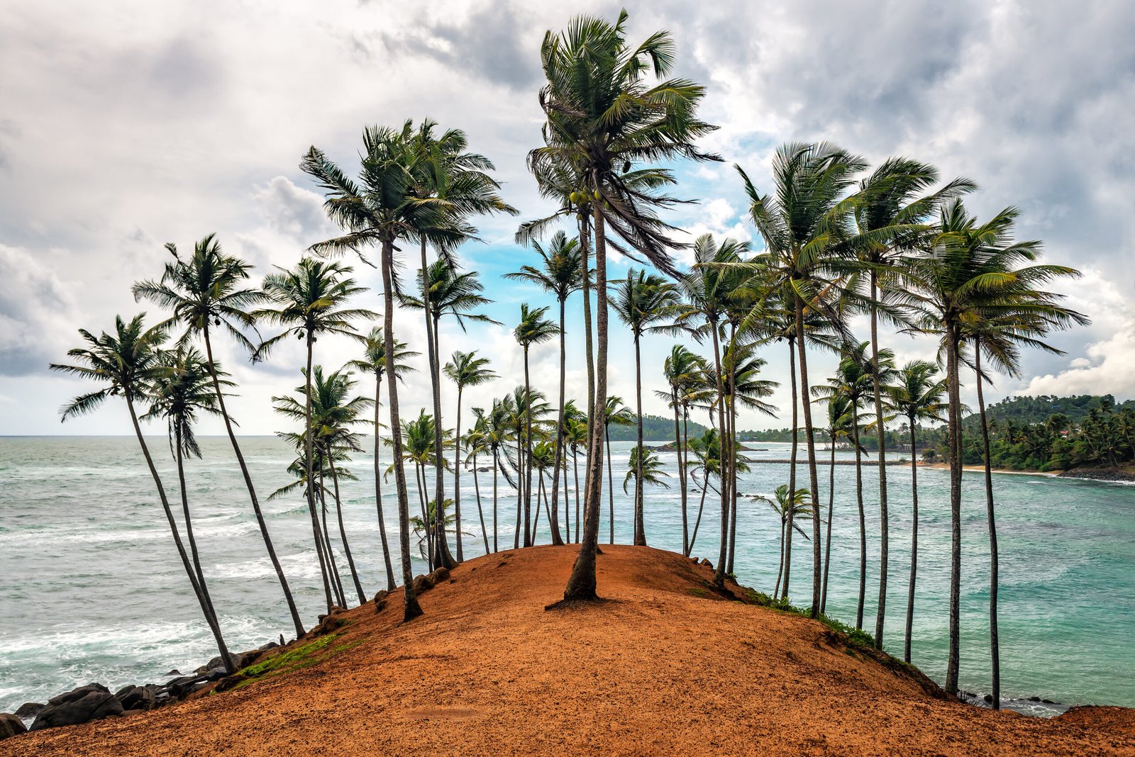 beautiful coconut tree hill on Sri Lanka