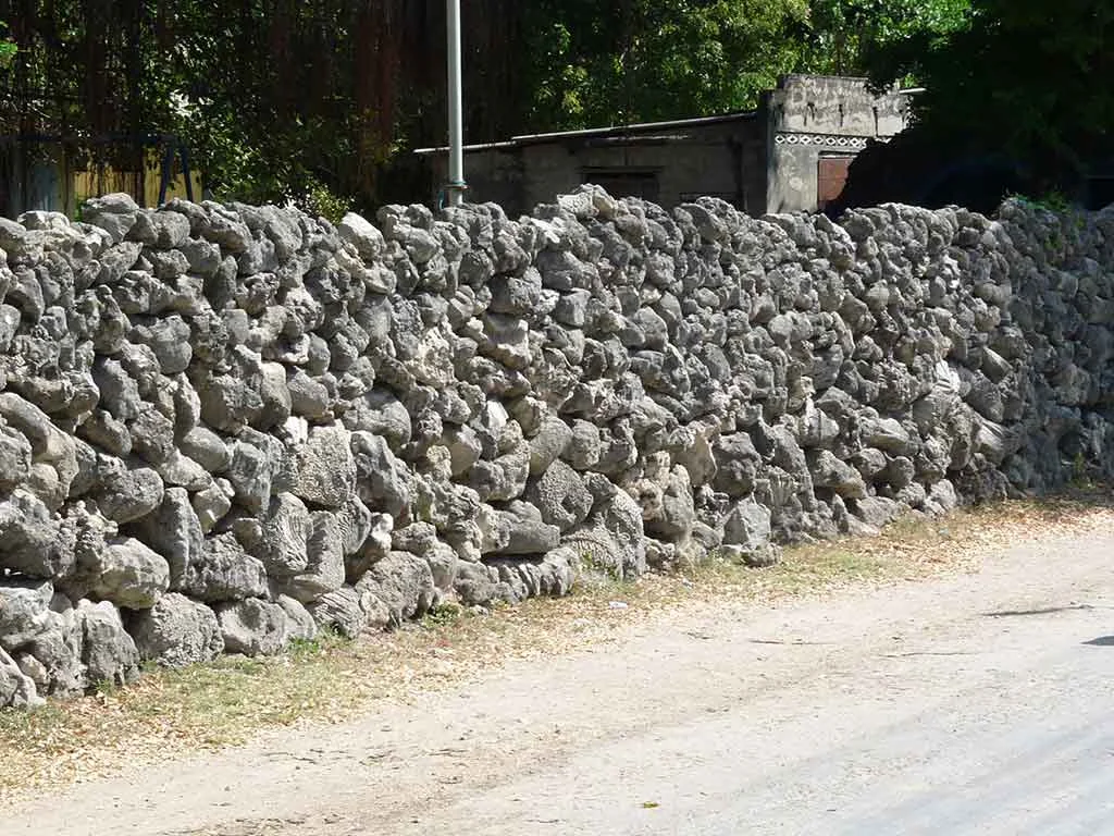 Coral walls Delft Island