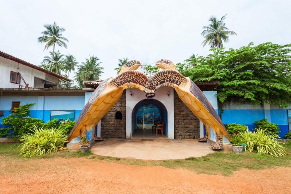 Hikkaduwa Turtle Sanctury