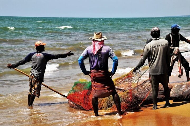 Kalpitiya Fishing Image
