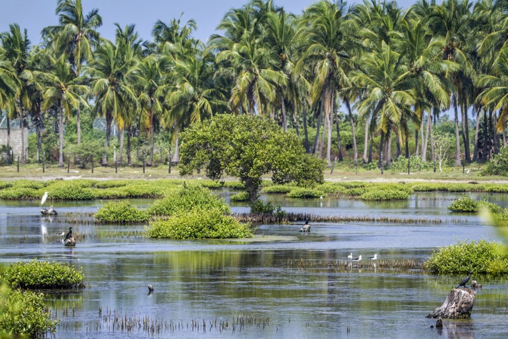 Kalpitiya Lagoon