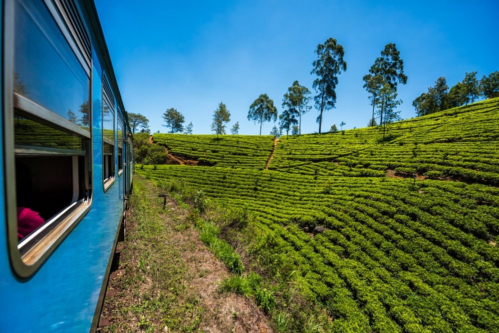 Kandy to Hatton Train