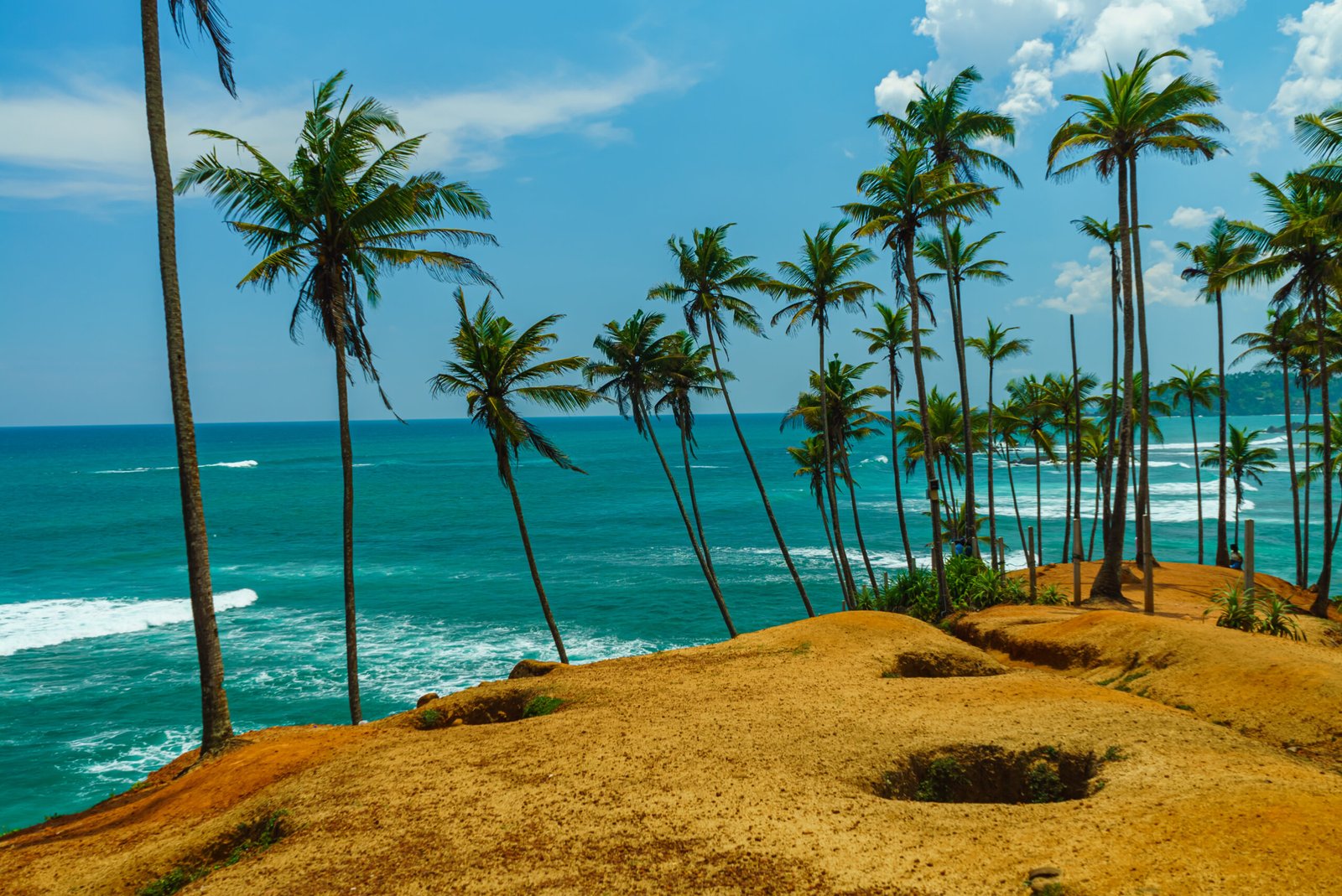 Coconut Tree Hill