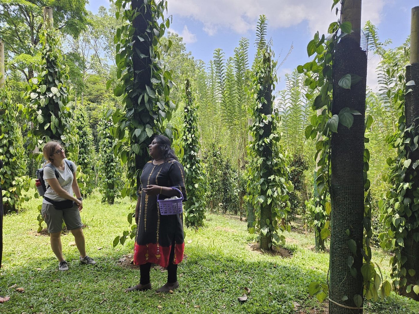 National_Spice_Garden_3