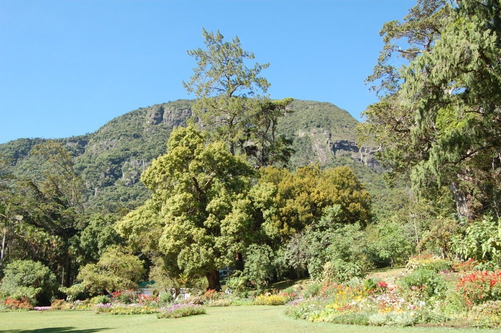 Haggala Botanical Garden