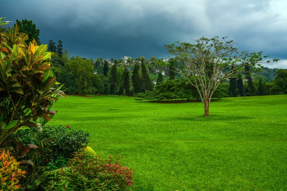 Peradeniya Botanical Garden