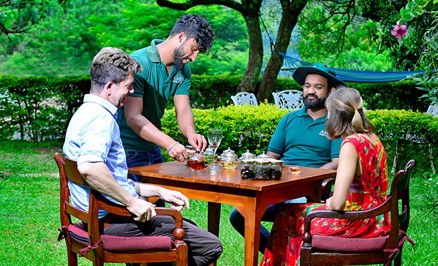 Private Tea Tasting