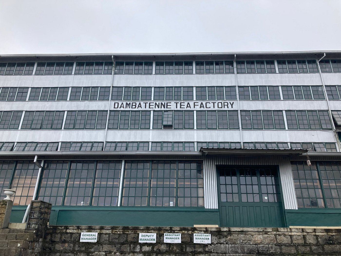 Tea Factory Visit