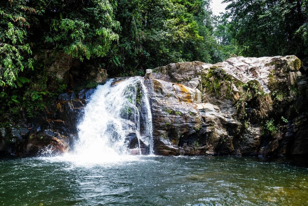 Sinharaja waterfall