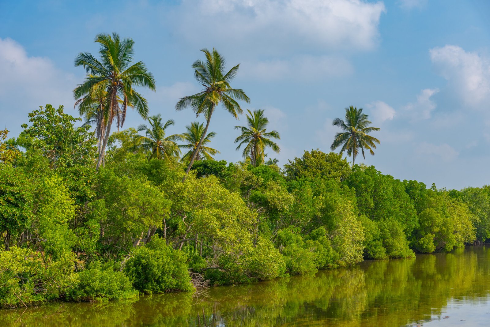 Rekawa lagoon at Sri Lanka.