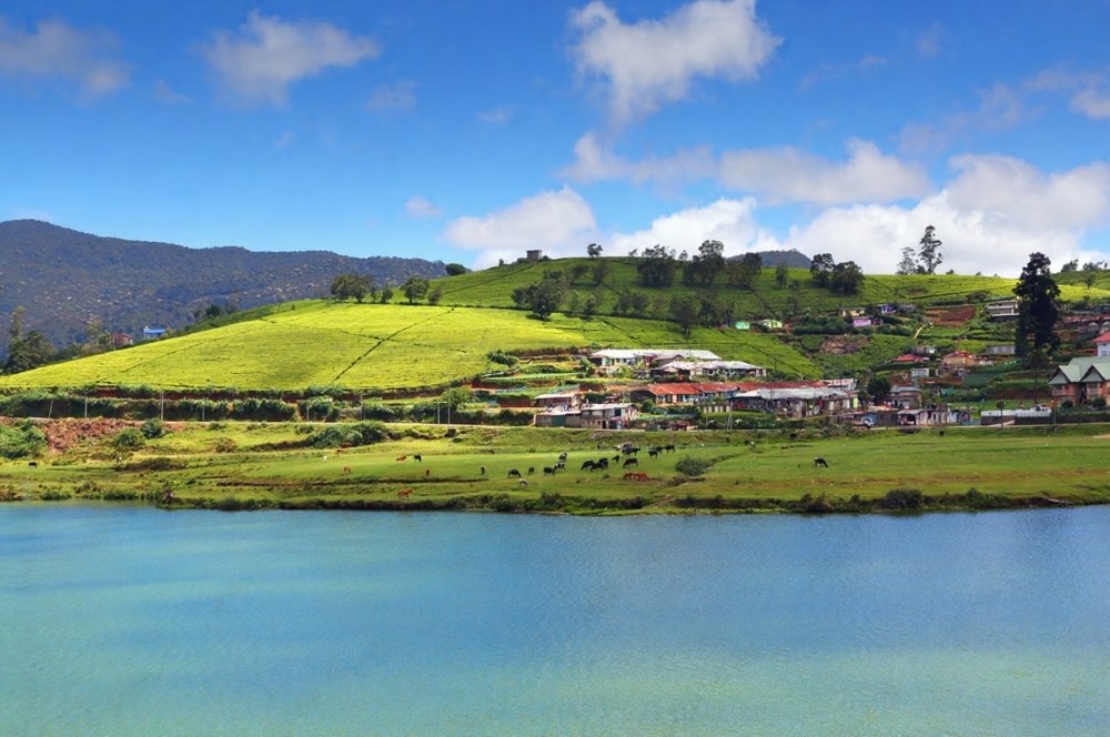 Gregory lake in Nuwara Eliya