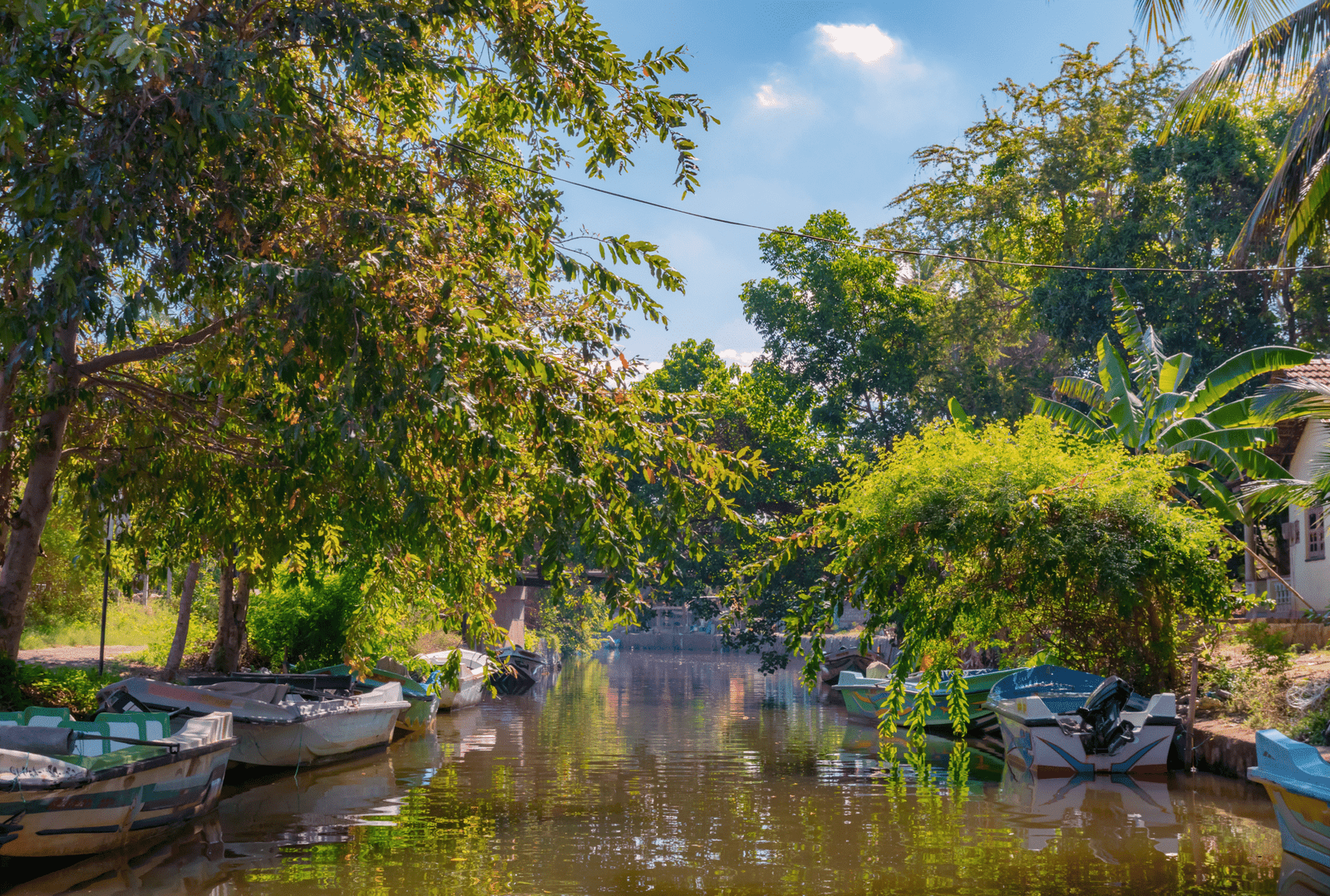 Negombo Canal